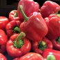 20 Seeds Organic Red MINI BELL PEPPER Sweet Mild Miniature Capsicum Vegetable (Seeds)