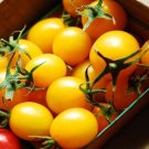 150 Seeds PLUM YELLOW TOMATO Lycopersicon Heirloom Indeterminate Fruit Vegetable (Seeds)