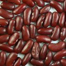 50 Seeds Charlevois DARK RED KIDNEY BEAN Chili Baked Phaseolus Vulgaris Vegetable (Seeds)