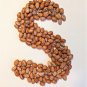25 Seeds DWARF HORTICULTURE BEAN Taylor Long French Phaseolus Vulgaris Vegetable (Seeds)