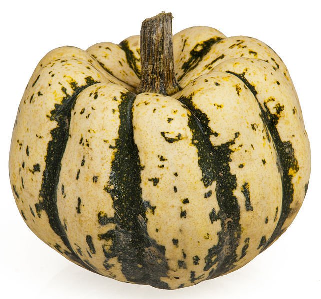 25 Seeds SWEET DUMPLING SQUASH Delicata Cucurbita Maxima Vegetable (Seeds)