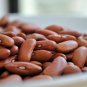 50 Seeds Organic SMALL RED BEAN Phaseolus Vulgaris Vegetable (Seeds)