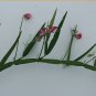 50 Seeds AUSTRIAN WINTER PEA Caley Flower Pisum Sativum Ground Cover Crop Legume (Seeds)