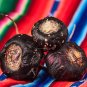50 Seeds BLACK MACA Peruvian Ginseng Maka Lepidium Meyenii syn. Peruvianum Herb (Seeds)