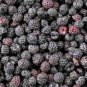 50 Seeds BLACK RASPBERRY Rubus Leucodermis Fruit Bush Vine (Seeds)