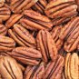 5 Seeds HARDY PECAN Tree Carya Illinoinensis King Nut Native Fruit Tree (Seeds)