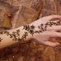 20 Seeds Common HENNA Mehandi Dye Plant Lawsonia Inermis Tattoo Flower Tree (Seeds)