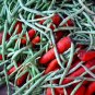 30 Seeds YARD LONG BEAN Asparagus Bean Cowpea Phaseolus Vulgaris Vegetable (Seeds)
