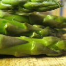 100 Seeds MARY WASHINGTON ASPARAGUS Officinalis Perennial Vegetable (Seeds)