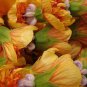 30 Seeds Mixed Colors FLOWERING MAPLE Abutilon Hybridum Chinese Bell Flower Tree (Seeds)