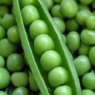 50 Seeds Super SUGAR SNAP PEA Pisum Sativum Macrocarpon Vegetable (Seeds)