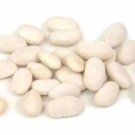 50 Seeds White GREAT NORTHERN BEAN Bush Phaseolus Vulgaris Vegetable (Seeds) 50 Seeds White GREAT NORTHERN BEAN Bush Phaseolus Vulgaris Vegetable (Seeds)