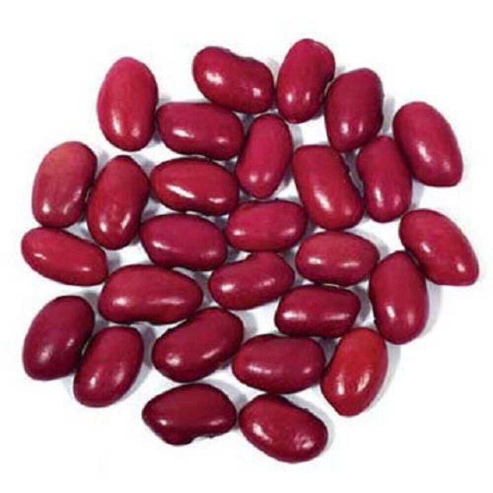 30 Seeds Red KIDNEY BEAN Phaseolus Vulgaris Vegetable (Seeds)