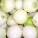 500 Seeds Crystal White WAX PEARL ONION Allium Cepa Vegetable (Seeds) 500 Seeds Crystal White WAX PEARL ONION Allium Cepa Vegetable (Seeds)