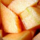 200 Seeds IROQUOIS CANTALOUPE Melon Fruit Cucumis Melo (Seeds)