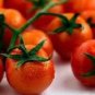 300 Seeds SMALL Red CHERRY TOMATO Lycopersicon Lycopersicum Fruit Vegetable (Seeds)