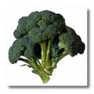 1000 Seeds EARLY Fall RAPINI BROCCOLI Raab Rabe Brocoletti Brassica Vegetable (Seeds)