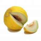 50 Seeds Golden Beauty CASABA MELON Cucumis Melo Fruit (Seeds)
