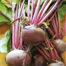 250 Seeds DETROIT Dark RED BEET Heirloom Beta Vulgaris Vegetable (Seeds)