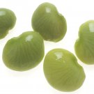 50 Seeds BABY LIMA BEAN Phaseolus Lunatus Vegetable (Seeds) 50 Seeds BABY LIMA BEAN Phaseolus Lunatus Vegetable (Seeds)