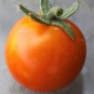 300 Seeds LARGE Red CHERRY TOMATO Lycopersicon Lycopersicum Fruit Vegetable (Seeds)