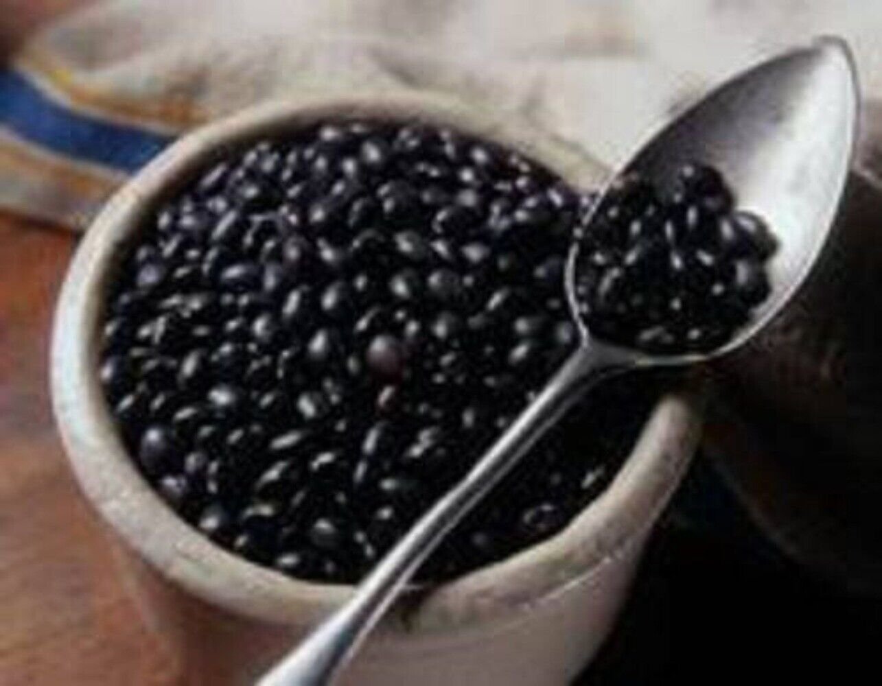 50 Seeds BLACK BEAN (Black Turtle Bush Bean) Phaseolus Vulgaris Vegetable (Seeds)