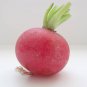 2000 Seeds CRIMSON GIANT RADISH Raphanus Sativus Vegetable (Seeds)