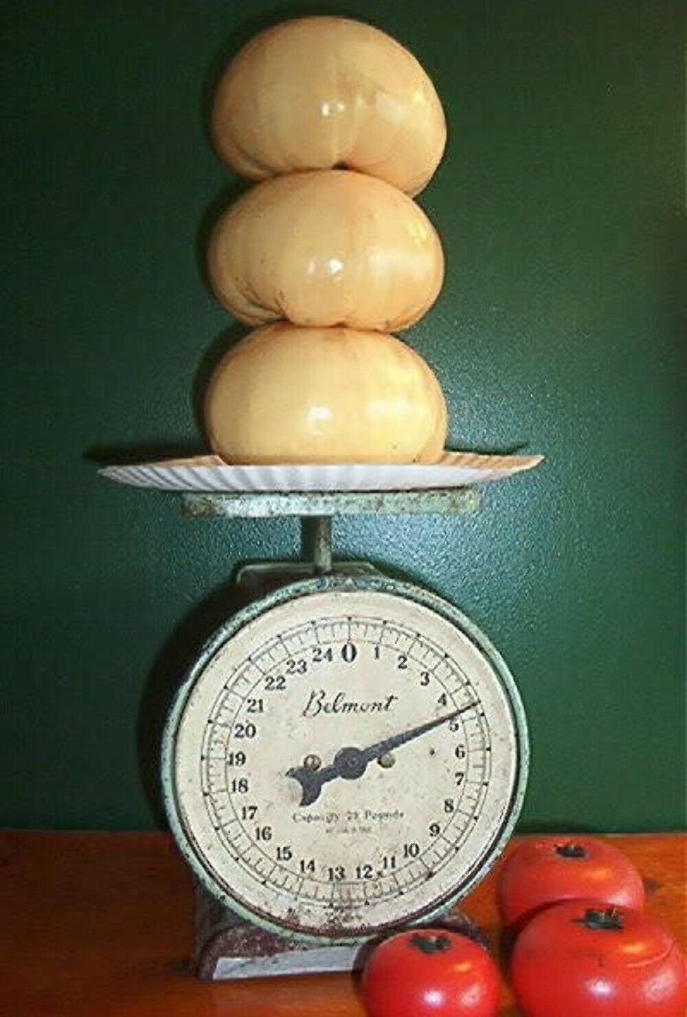 50 Seeds WHITE Wonder BEEFSTEAK TOMATO Lycopersicon 1 - 2 lb Fruit Vegetable (Seeds)