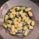 50 Seeds Hot WHITE HABANERO PEPPER Capsicum Chinense Vegetable (Seeds) 50 Seeds Hot WHITE HABANERO PEPPER Capsicum Chinense Vegetable (Seeds)
