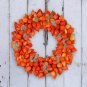 100 Seeds CHINESE LANTERN Winter Ground Cherry Japanese Physalis Alkekengi Flower (Seeds)
