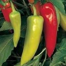 300 Seeds HUNGARIAN HOT Wax PEPPER (Hot Banana Pepper) Capsicum Annuum Vegetable (Seeds)