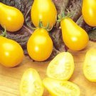 300 Seeds YELLOW PEAR TOMATO Lycopersicon Lycopersicum Fruit Vegetable (Seeds)