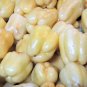 50 Seeds WHITE CLOUD BELL PEPPER Sweet Mild Capsicum Annuum Vegetable (Seeds)
