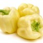 50 Seeds WHITE CLOUD BELL PEPPER Sweet Mild Capsicum Annuum Vegetable (Seeds)