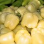 50 Seeds WHITE CLOUD BELL PEPPER Sweet Mild Capsicum Annuum Vegetable (Seeds)