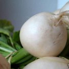 300 Seeds WHITE EGG TURNIP Brassica Rapa Vegetable (Seeds)