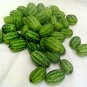21+ Seeds MOUSE MELON Vegetable Seeds Mexican Sour Gherkin Cucumber Organic Container (Seeds)