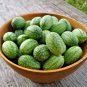 21+ Seeds MOUSE MELON Vegetable Seeds Mexican Sour Gherkin Cucumber Organic Container (Seeds)