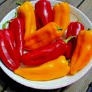 61+ Seeds CUBANELLE Sweet PEPPER Seeds Organic Vegetable Garden Patio Container Easy (Seeds)