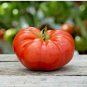 151+ Seeds BEEFSTEAK TOMATO Seeds Organic Native Vegetable Summer Garden Container Easy (Seeds)