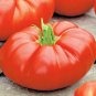 151+ Seeds BEEFSTEAK TOMATO Seeds Organic Native Vegetable Summer Garden Container Easy (Seeds)