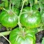 151+ Seeds BEEFSTEAK TOMATO Seeds Organic Native Vegetable Summer Garden Container Easy (Seeds)