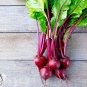 101+ Seeds EARLY WONDER Beet Seeds Native Heirloom Vegetable Garden Patio Container (Seeds)
