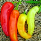 101+ Seeds Sweet BANANA PEPPER Seeds Organic Vegetable Garden Container Hungarian Easy (Seeds)