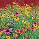 2000+ Seeds POLLINATOR MIX Seeds 17 Native Wildflowers Annual Perennial Garden Easy (Seeds) 2000+ Seeds POLLINATOR MIX Seeds 17 Native Wildflowers Annual Perennial Garden Easy (Seeds)