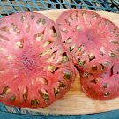 50+ Seeds CHEROKEE PURPLE TOMATO Seeds Organic Native Heirloom Summer Garden Container (Seeds) 50+ Seeds CHEROKEE PURPLE TOMATO Seeds Organic Native Heirloom Summer Garden Container (Seeds)