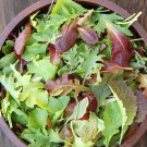 16,000+ Seeds GOURMET MESCLUN MIX Seeds Organic Lettuce Greens Blend Garden Container (1oz Seeds) 16,000+ Seeds GOURMET MESCLUN MIX Seeds Organic Lettuce Greens Blend Garden Container (1oz Seeds)