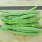 40+ Seeds PROVIDER Bush Beans Seeds Native Heirloom Vegetable Garden Patio Container (Seeds)