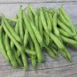 40+ Seeds PROVIDER Bush Beans Seeds Native Heirloom Vegetable Garden Patio Container (Seeds)