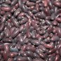 40+ Seeds PROVIDER Bush Beans Seeds Native Heirloom Vegetable Garden Patio Container (Seeds)